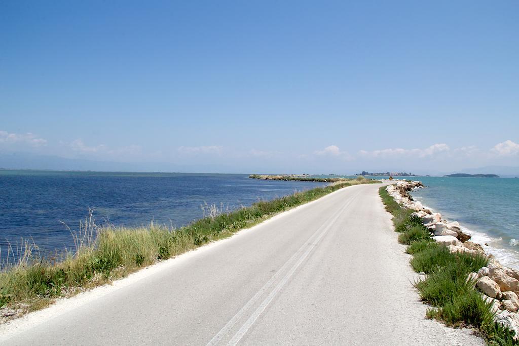 Asterias * Koronisia